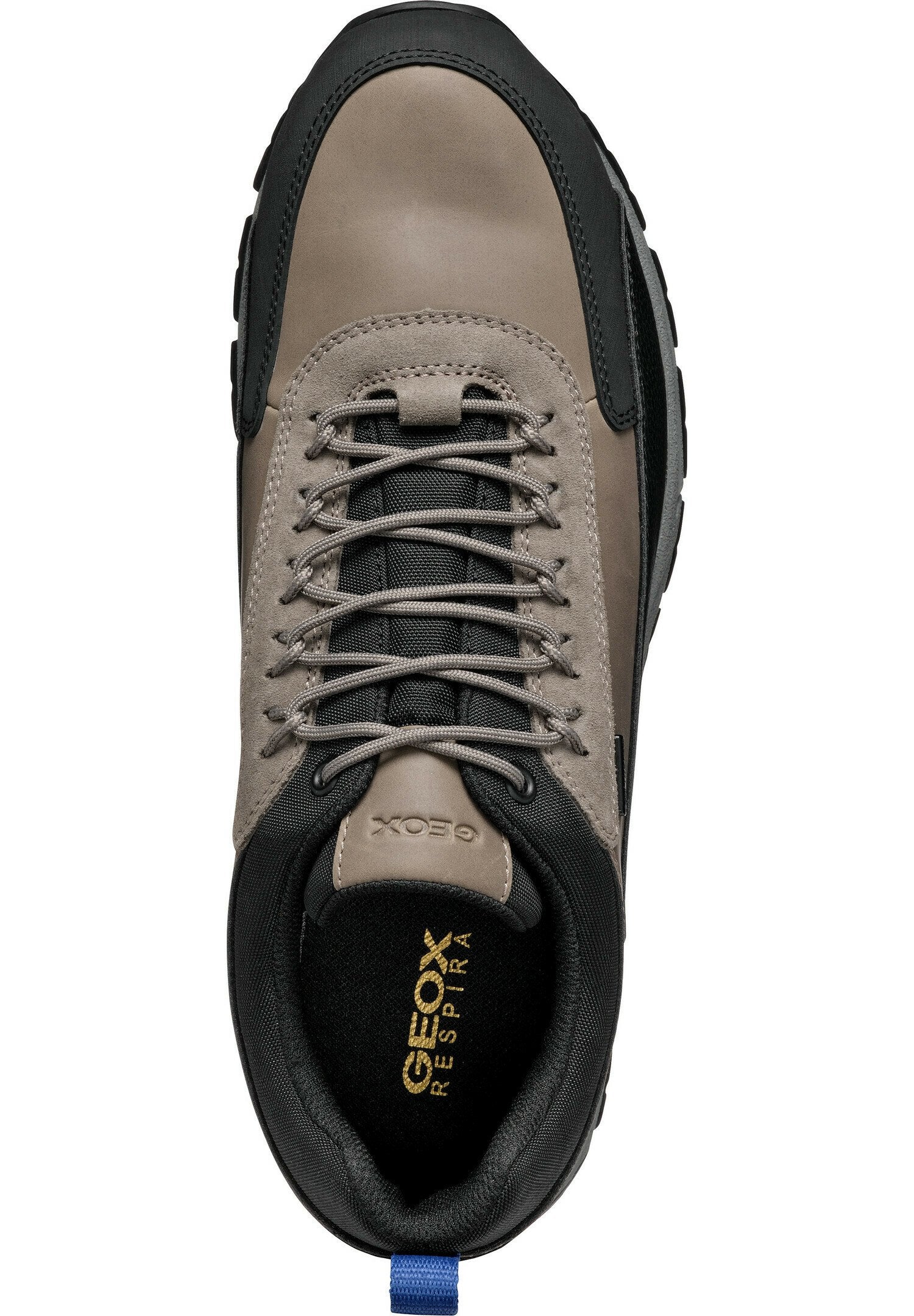 Geox DORAY