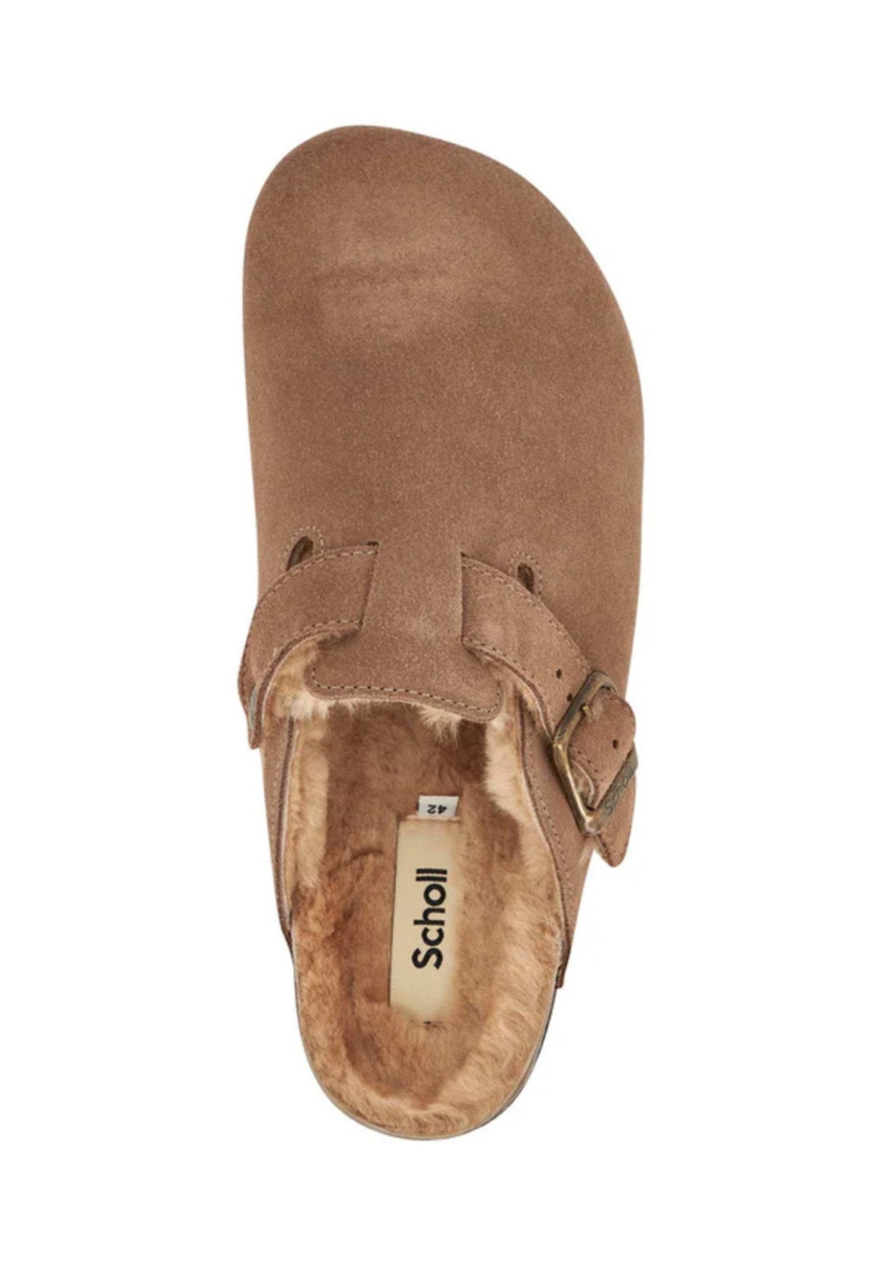 Scholl NEW