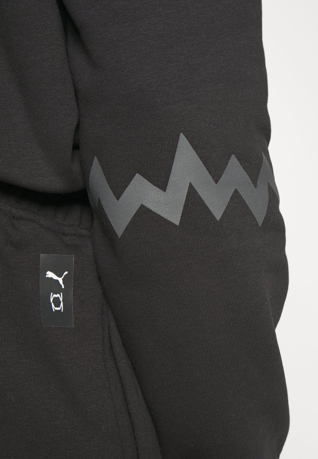 Puma HOOPS TEAM HOODIE