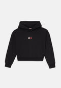 RHINESTONE FLAG HOODIE Media 1