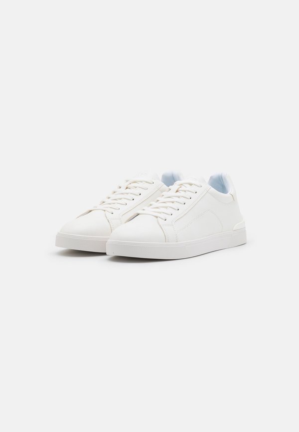 ALDO INTROSPEC