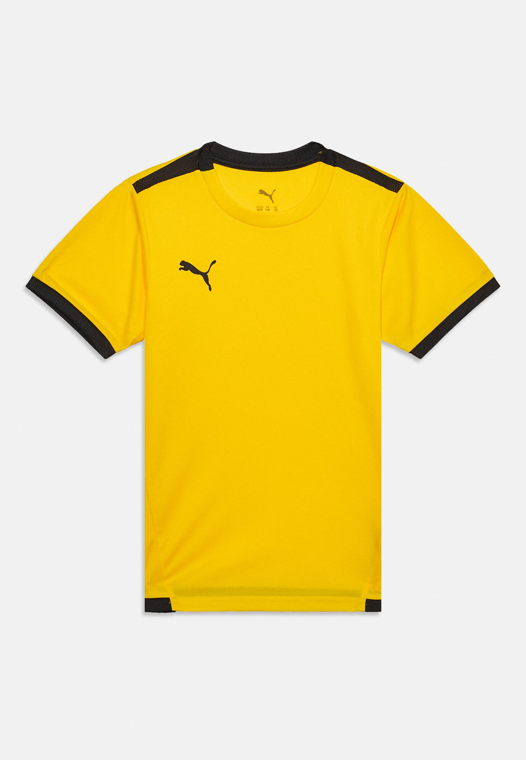 Puma TEAMLIGA
