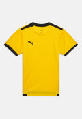 Puma TEAMLIGA