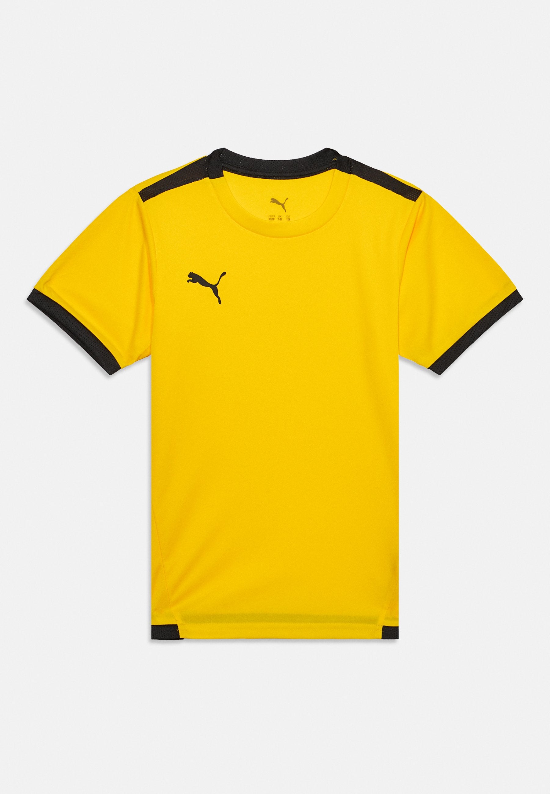Puma TEAMLIGA