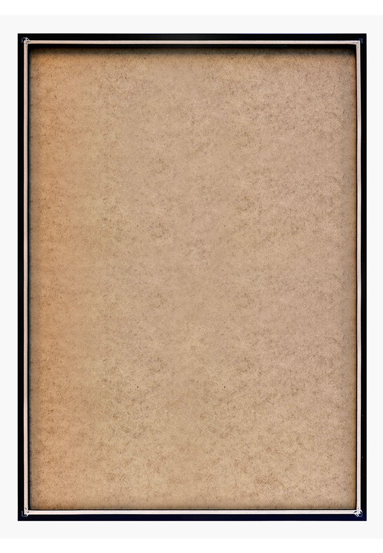 Orange Wallz VENI VIDI VICI