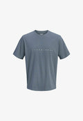 Jack & Jones JJESTAR JJ TEE SS NOOS - Print T-shirt - turbulence