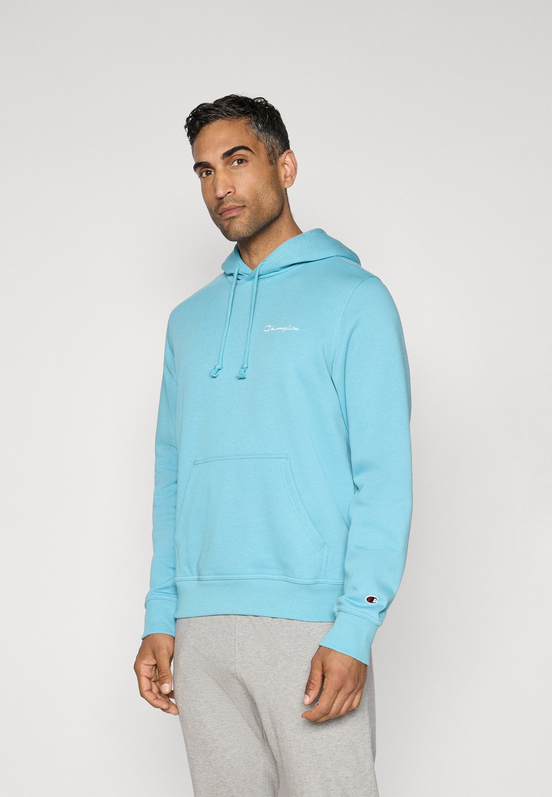 Champion SPORTSWEAR HOODIE STANDARD FIT