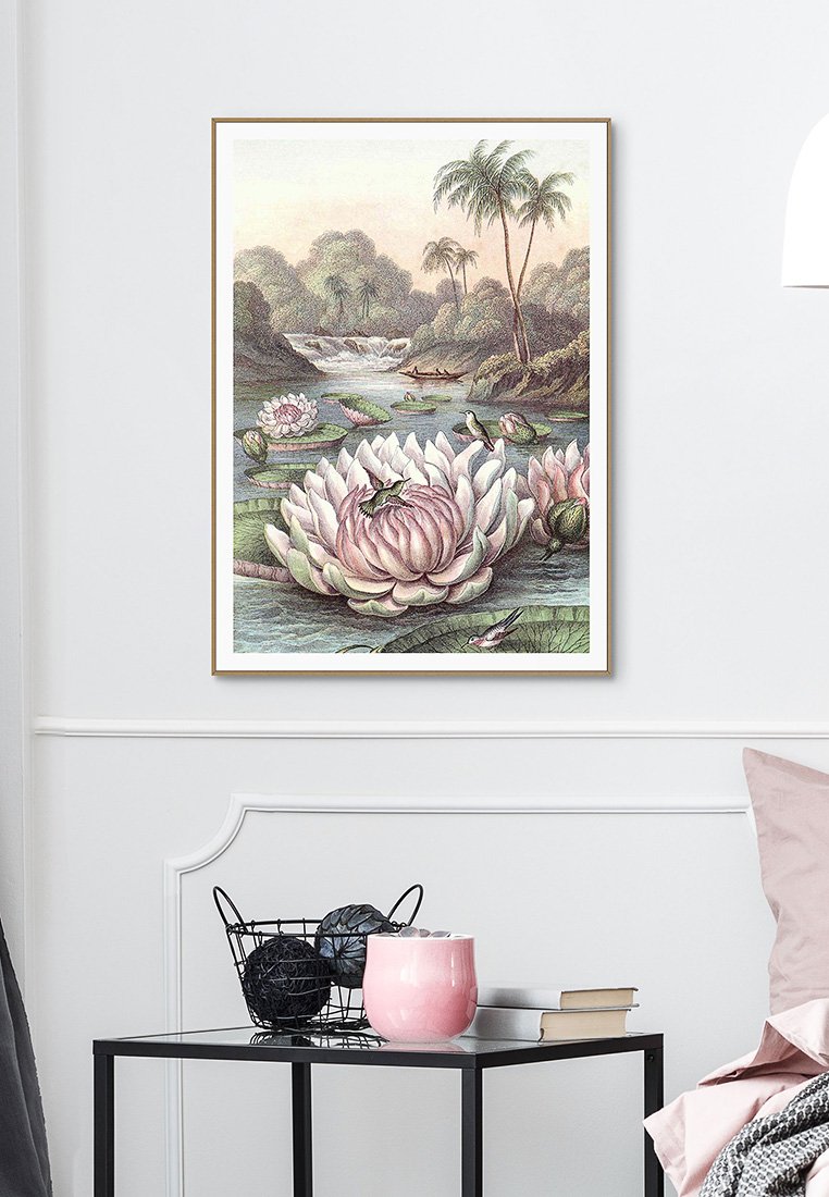 Orange Wallz WATERLILY
