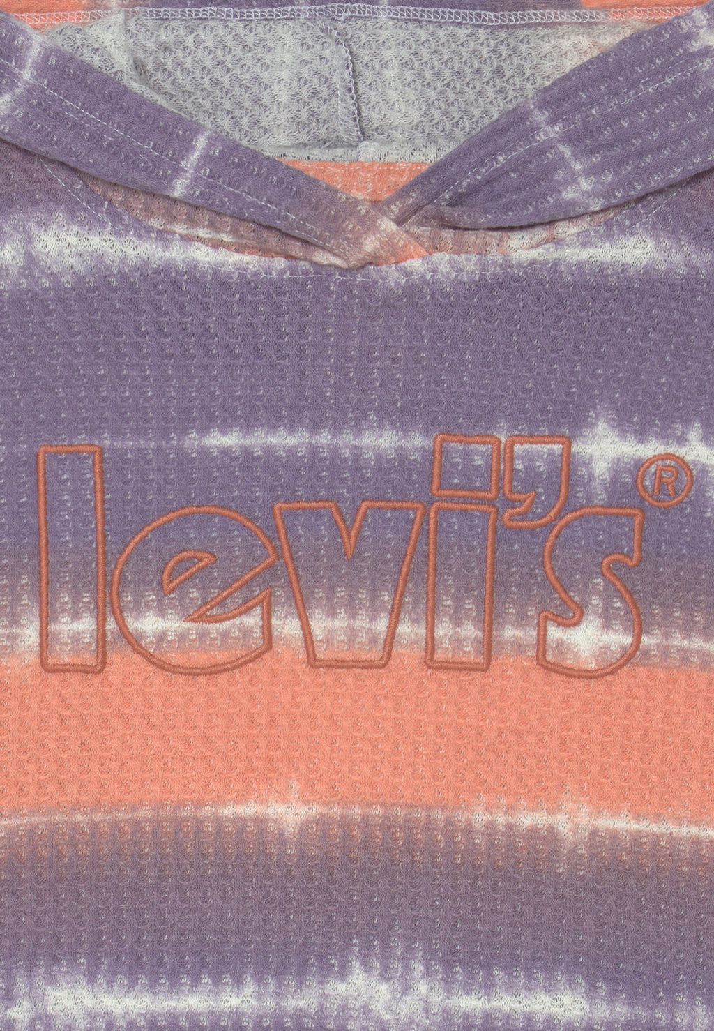 Levi's® MEET & GREET HOODIE
