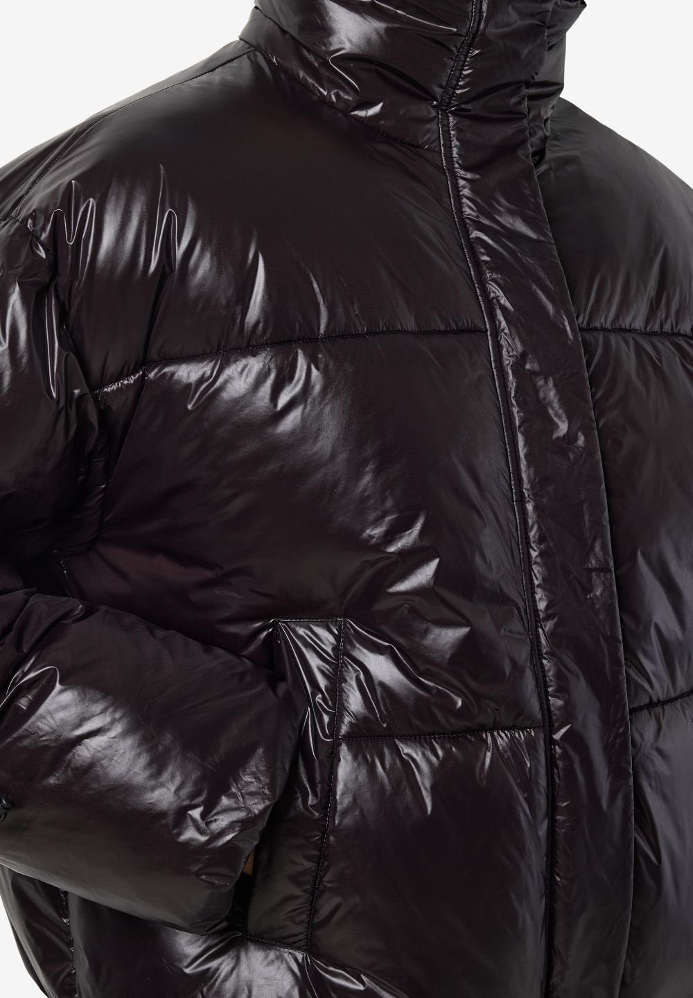 Noisy May Puffer ed