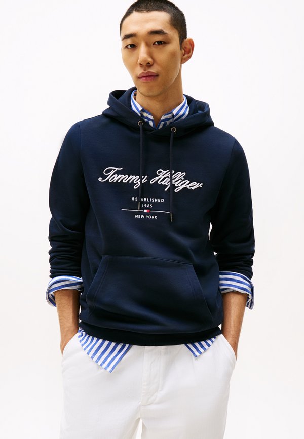 Tommy Hilfiger SCRIPT LOGO HOODY - BRAND LOVE - Hoodie - desert sky