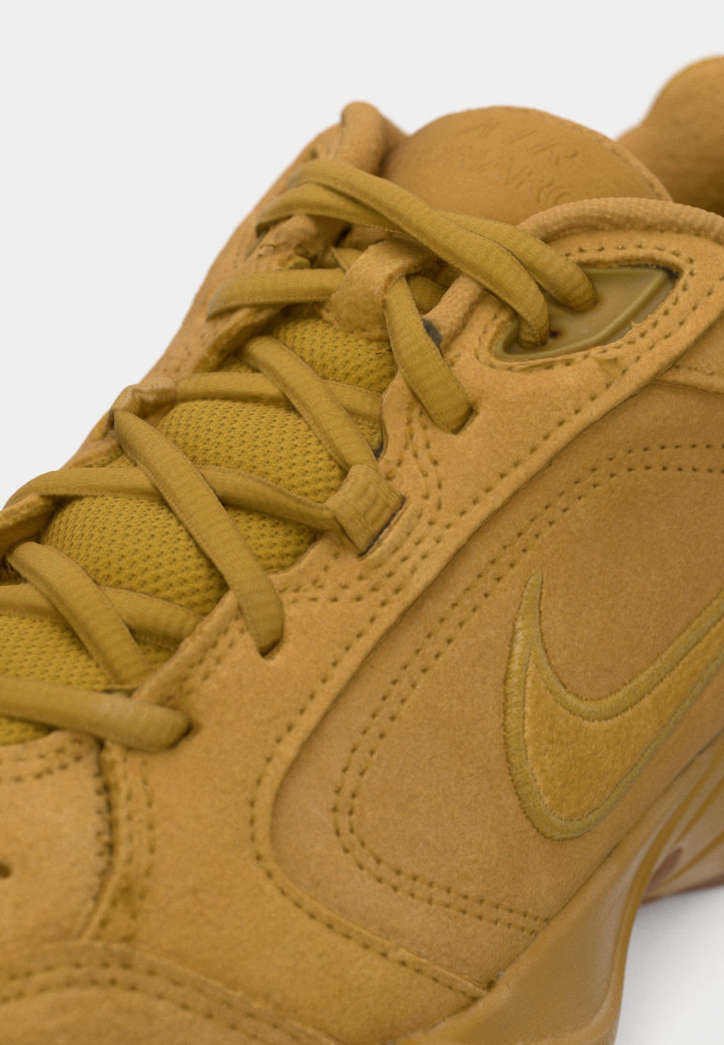 Nike Performance AIR MONARCH SE