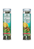 Candle-Lite O CHRISTMAS TREE 2 PACK
