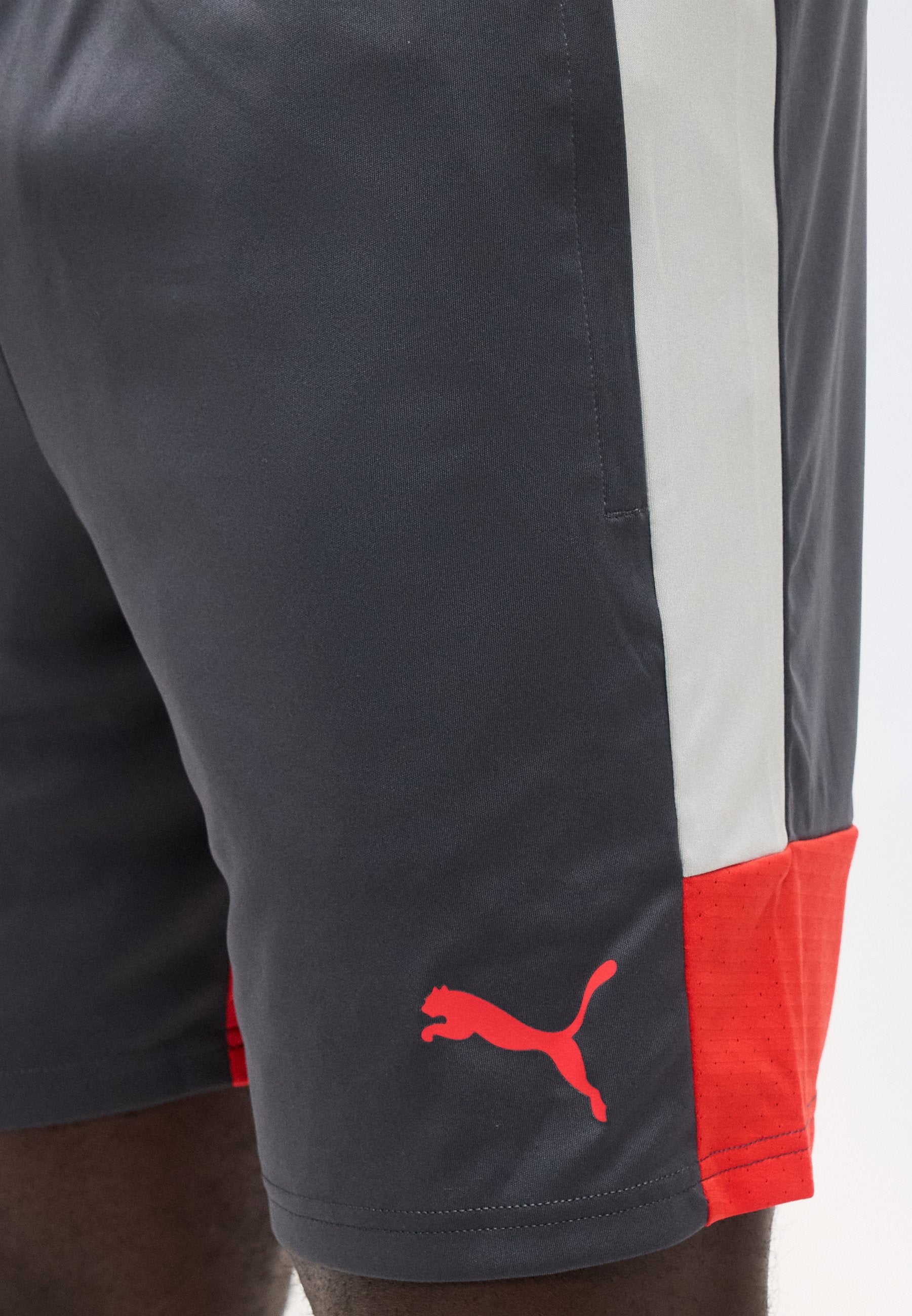 Puma INDIVIDUALLIGA TRAINING SHORTS