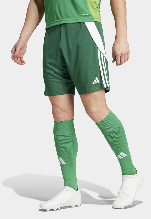 adidas Performance TIRO24 SHORT - Sports shorts - team dark green/white