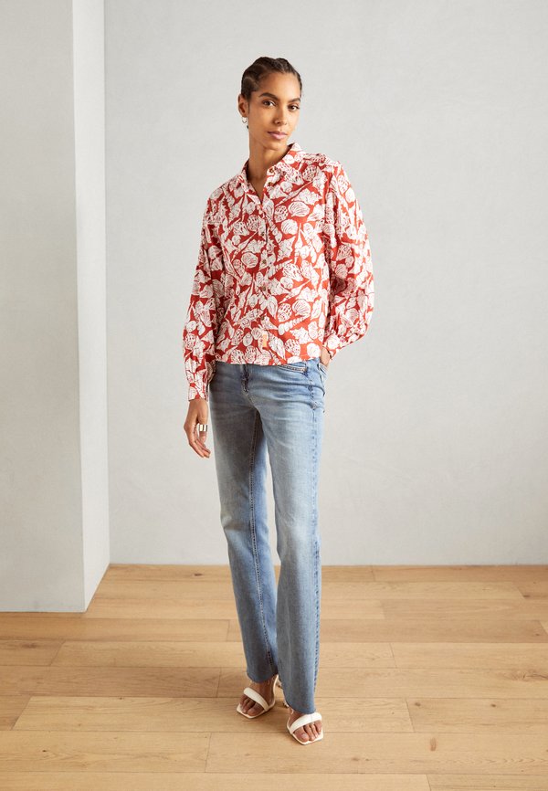 Scotch & Soda