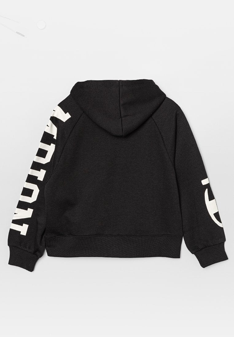 Champion Rochester HOODED SWEATSHIRT