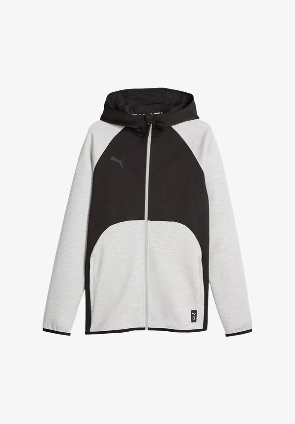 Puma PUMA HOOPS TEAM DIME HOODEDT KAPUZENJACKE INDOOR - TEXTILIEN - Training jacket - grau
