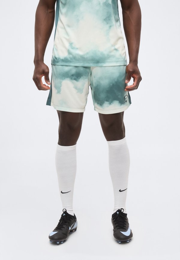 Nike Performance ACADEMY+ - Sports shorts - mineral slate/summit white/black