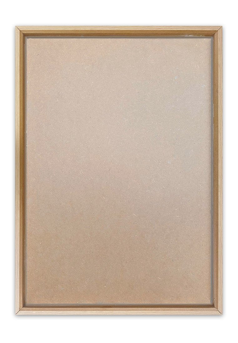 Orange Wallz BOOK