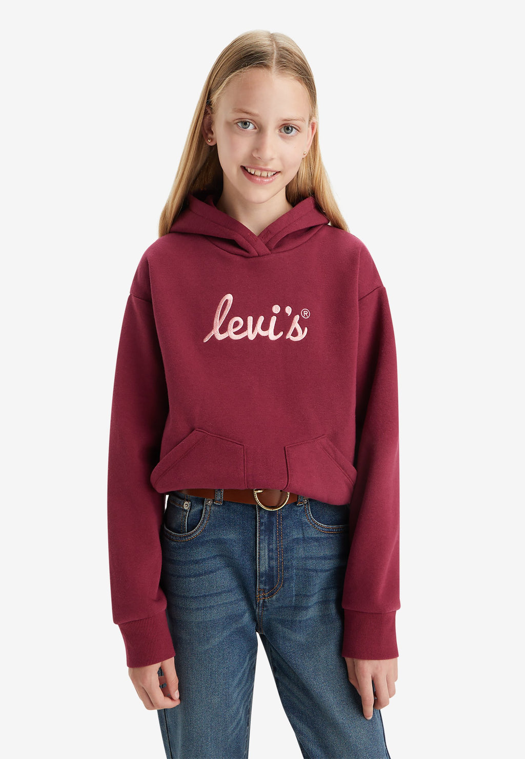 Levi's® POSTER LOGO HOODIE