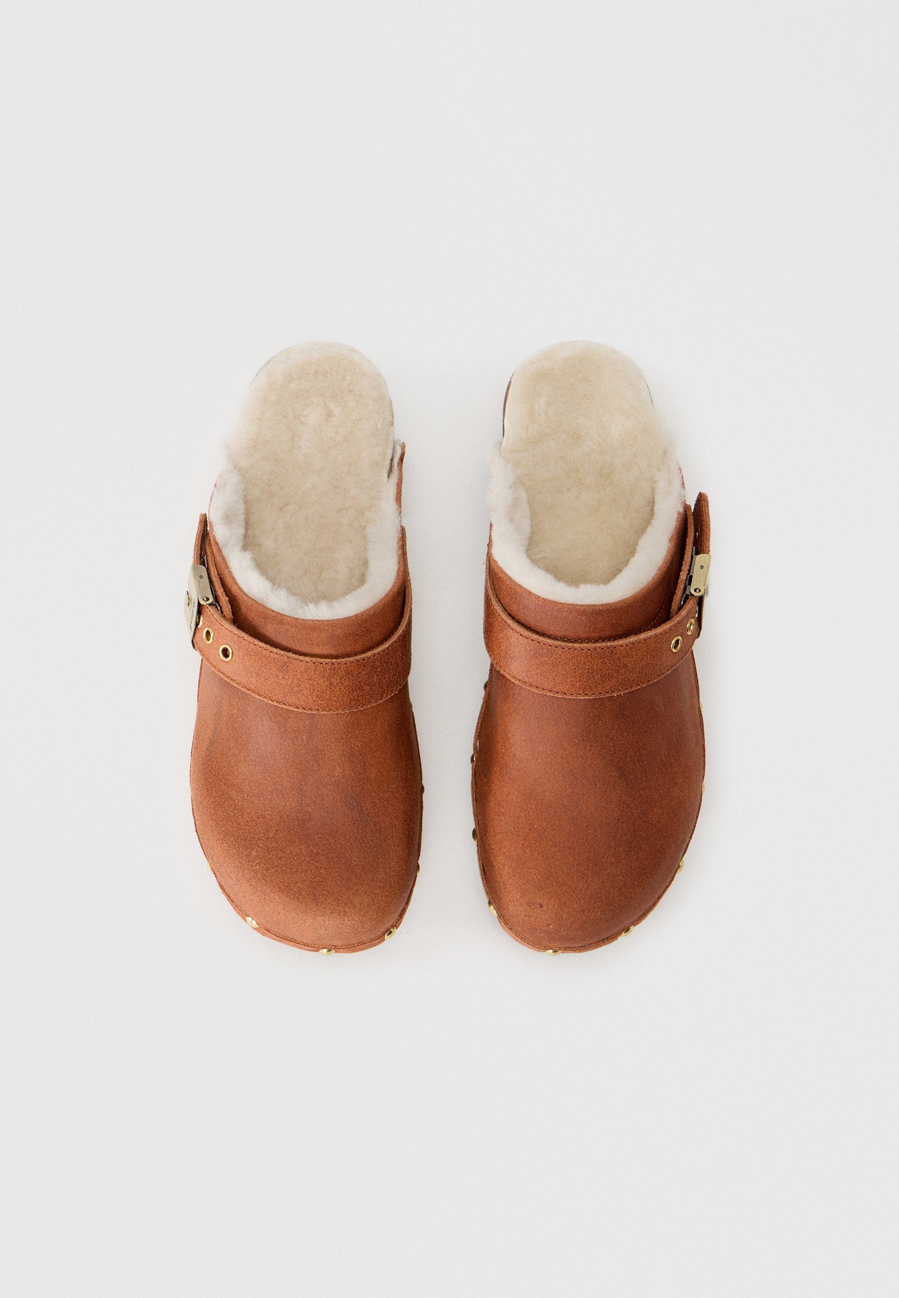 Scholl PESCURA ROBIN