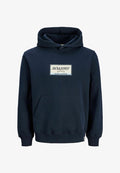 Jack & Jones JORFREDERIKSBERG GRAPHIC BOX SWEAT H PLS - Hoodie - sky captain