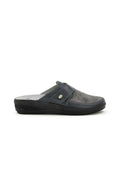 Scholl