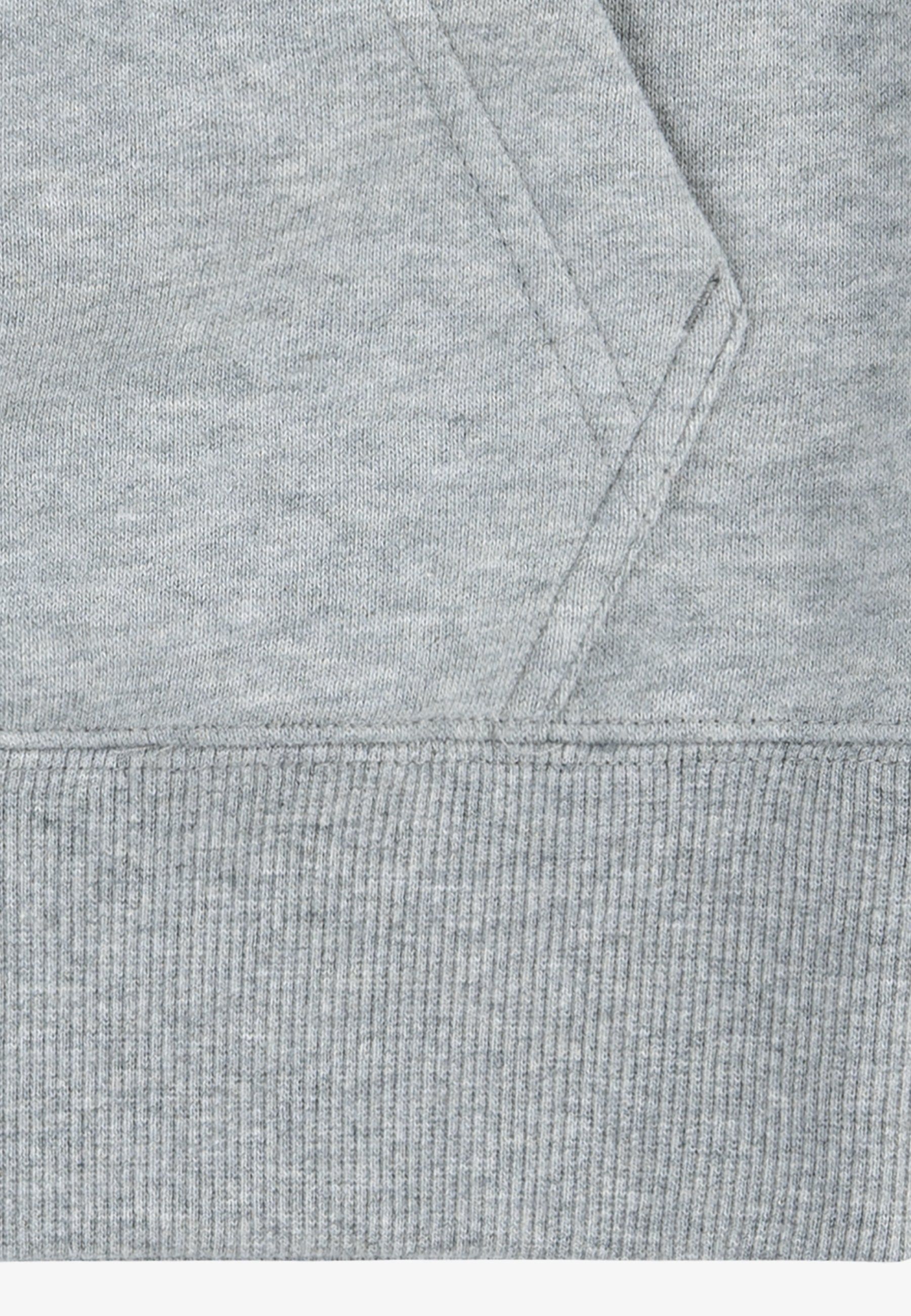 Levi's® MONOGRAM HOODIE