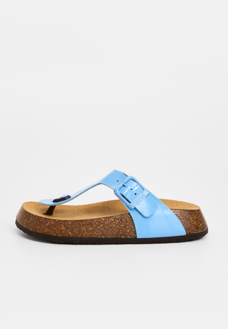 Scholl ANAIS