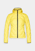 Colmar REGULAR FIT