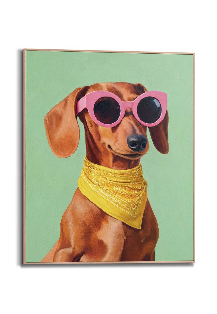 Orange Wallz DACHSHUND