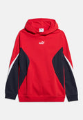 Puma ESS