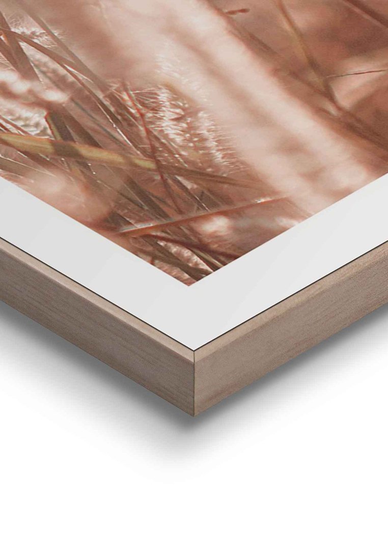Orange Wallz SUNLIGHT GRASSES