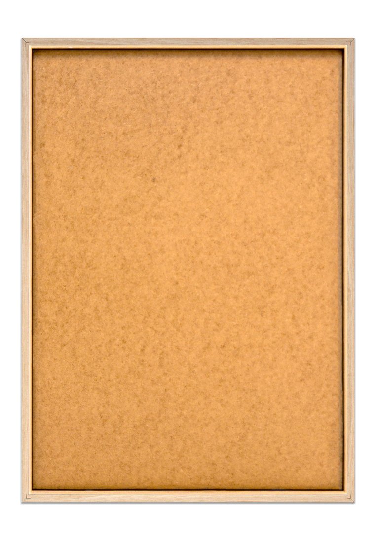 Orange Wallz JUNGLE NATURE