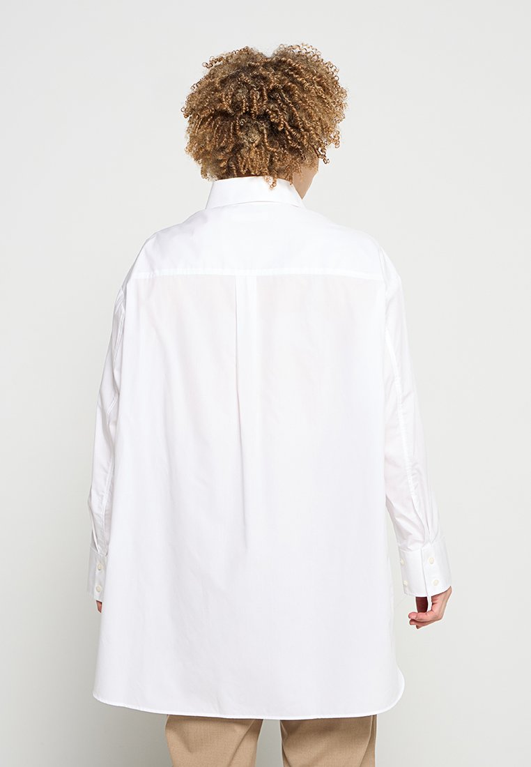Selected SLFMILO-ICONIC
