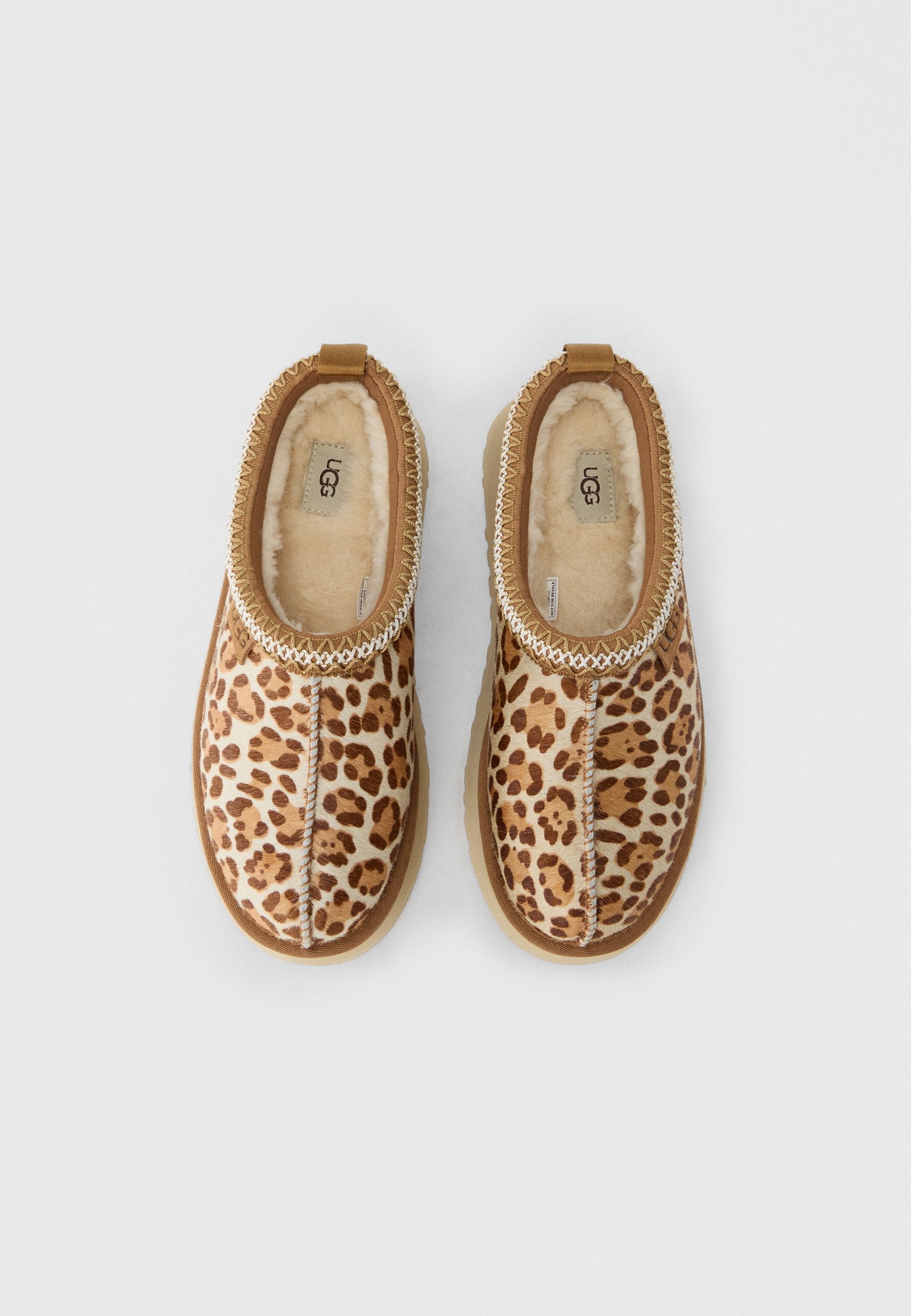 UGG TAZZ