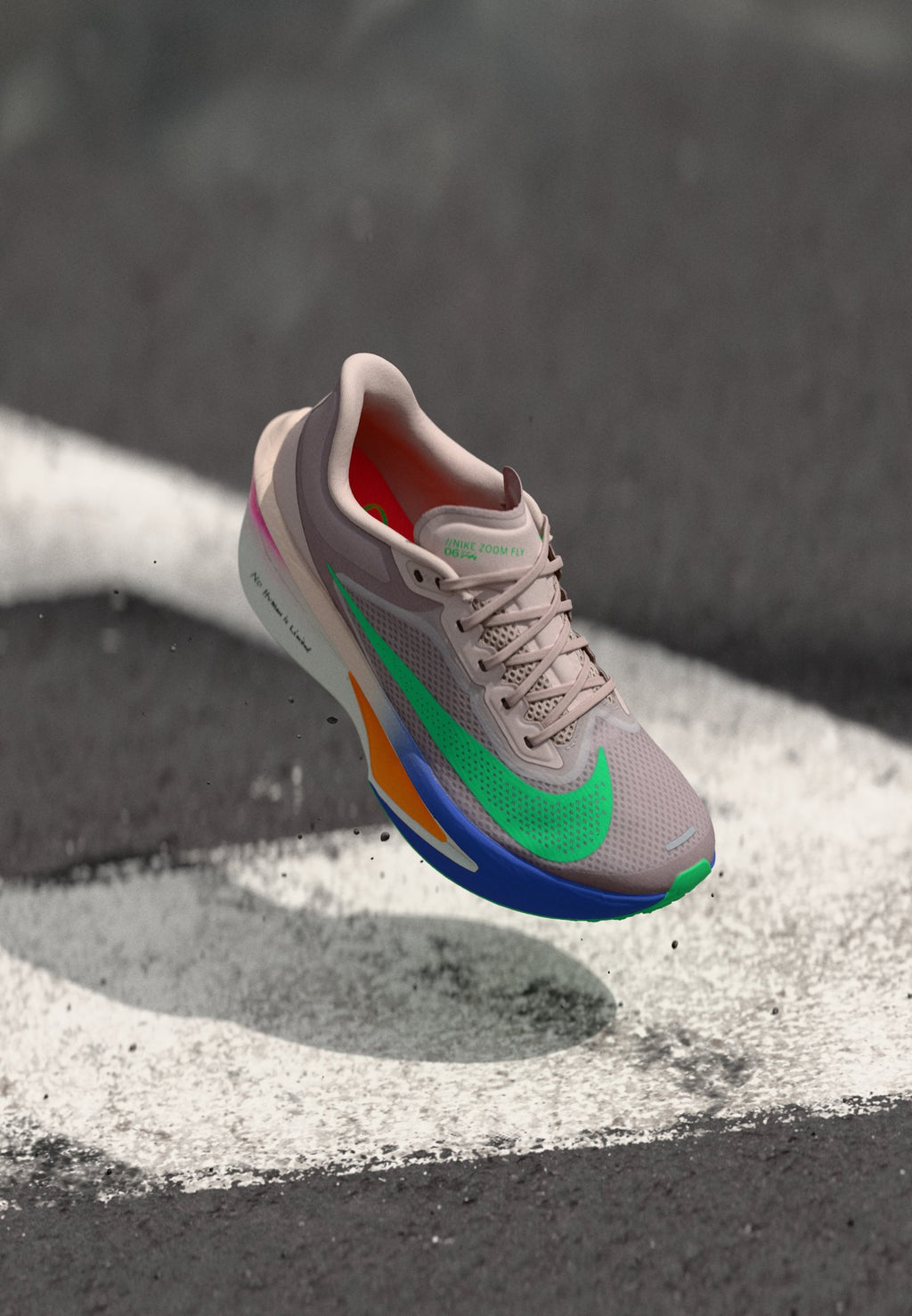 Nike Performance ZOOM FLY 6 EK