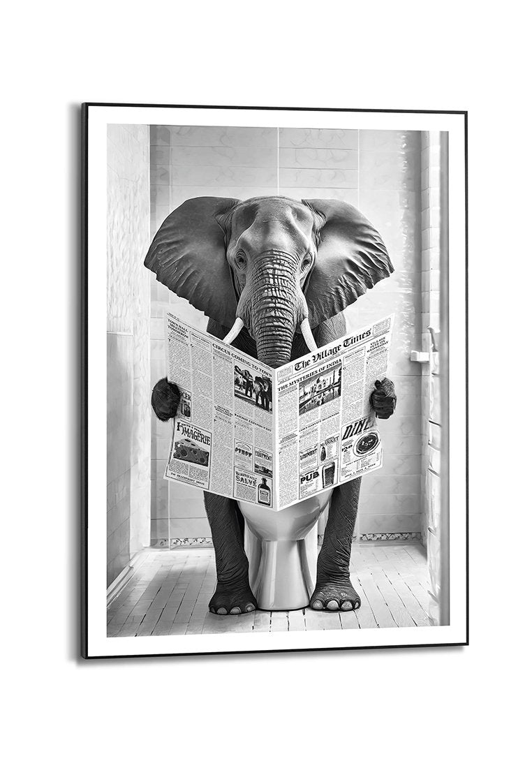 Orange Wallz ELEPHANT