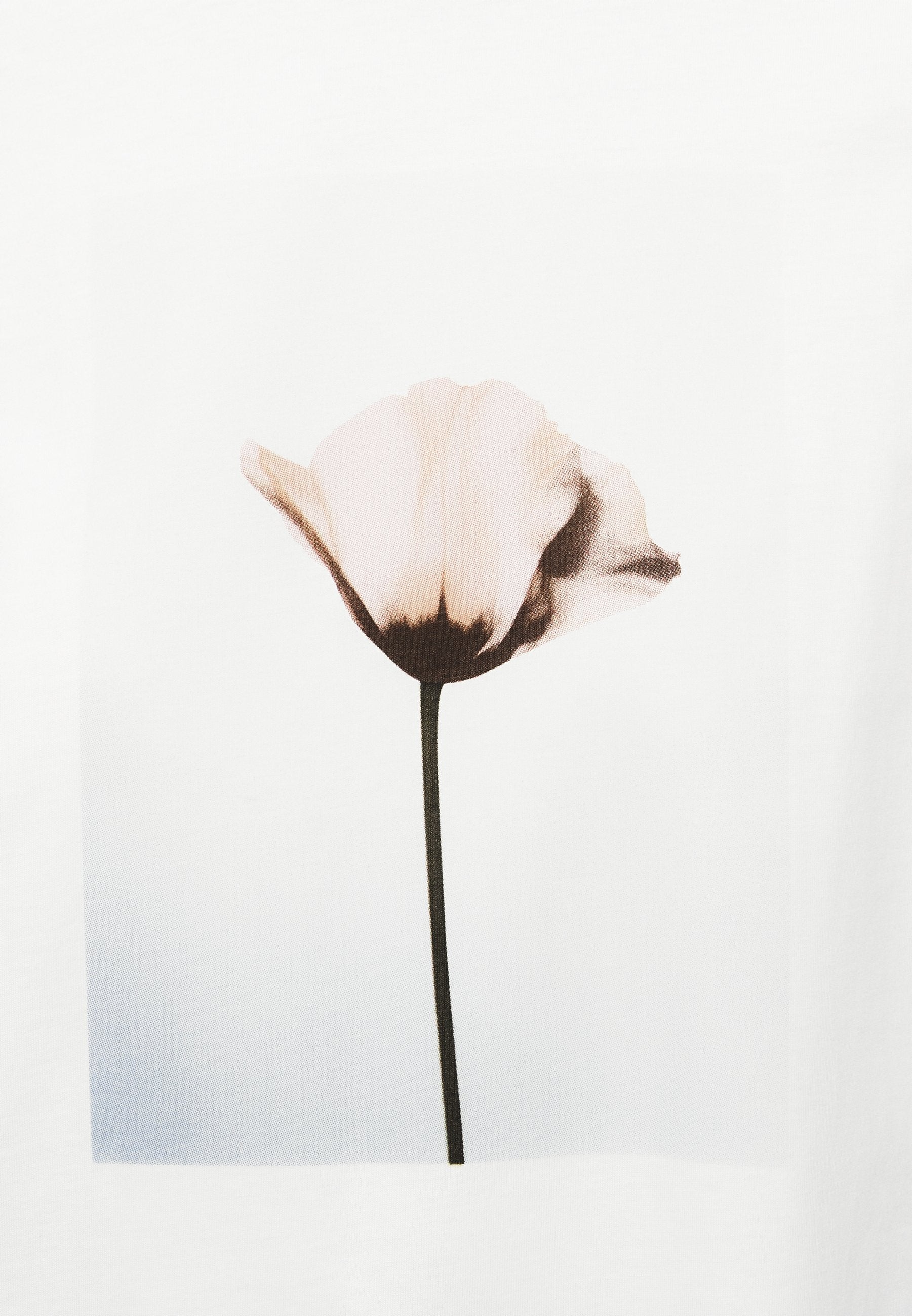 s.Oliver