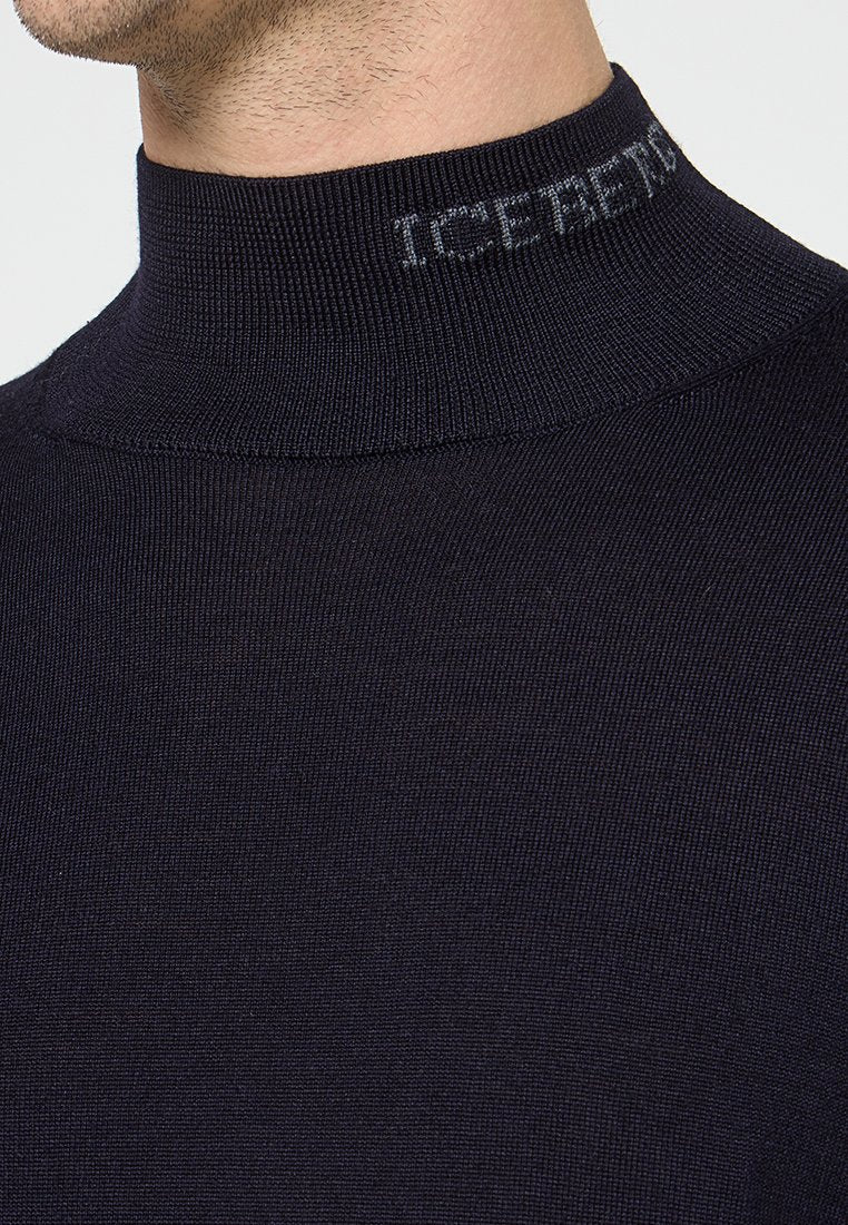 Iceberg