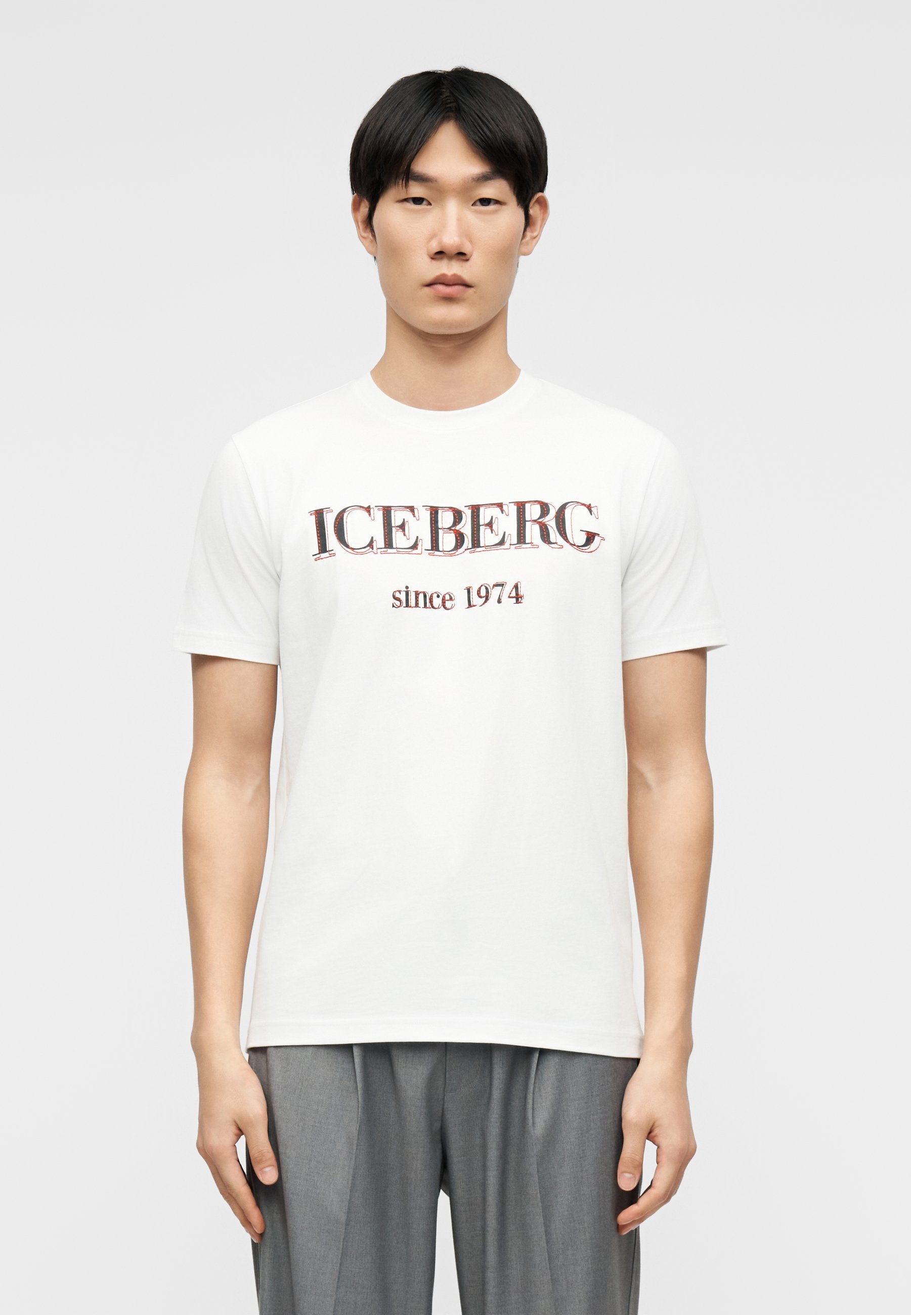 Iceberg
