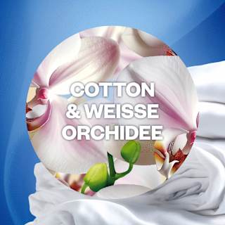 Lufterfrischer Duftstecker Cotton & Weiße Orchidee Nachfüllpack (2x19 ml) AIR WICK