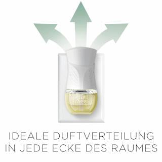 Lufterfrischer Duftstecker Eukalyptus & Zedernholz Nachfüllpack AIR WICK