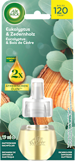 Lufterfrischer Duftstecker Eukalyptus & Zedernholz Nachfüllpack AIR WICK