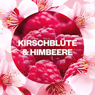 Lufterfrischer Duftstecker Kirschblüte & Himbeere Nachfüllpack (2x19 ml) AIR WICK