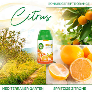 Lufterfrischer Freshmatic Citrus Nachfüllpack (2x250 ml) AIR WICK