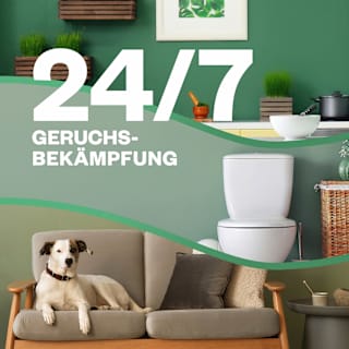 Lufterfrischer Freshmatic Feel Comfy Coconut & Orange AIR WICK