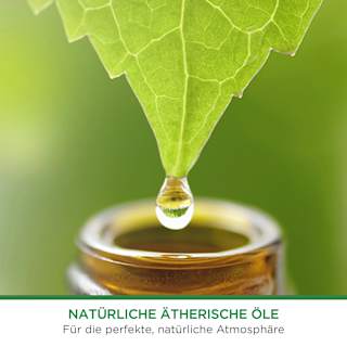 Lufterfrischer Freshmatic Sommervergnügen Nachfüllpack (2x250 ml) AIR WICK