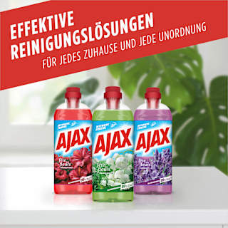 Allzweckreiniger Frühlingsblumen  AJAX